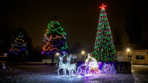 Уральская ель 10 м