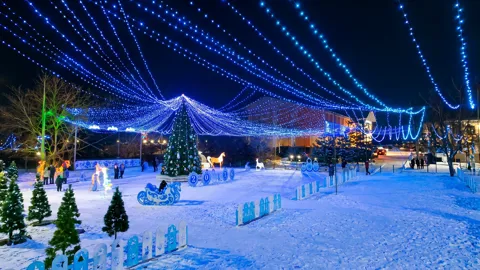 Уральская ель 9 м