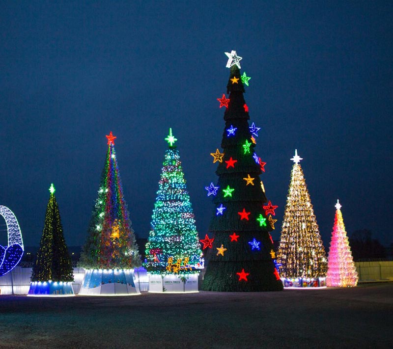 Уличные ёлки в Ставрополе